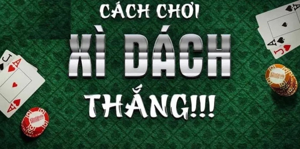 Cách Chơi Xì Dách - Bật Mí Phương Pháp Dễ Ăn Tiền Hiện Nay